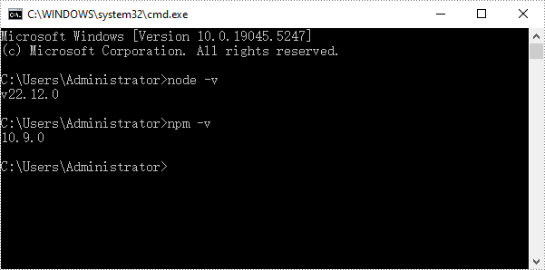 查看安装的node.js 和 npm版本